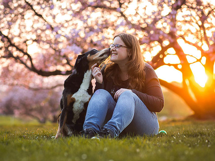 36+ Hunde Fotoshooting Ideen squirelsant